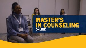 Masters in Counseling Online