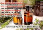 Rejuvenating Oils for Stress Relief