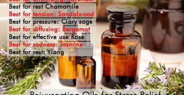 Rejuvenating Oils for Stress Relief