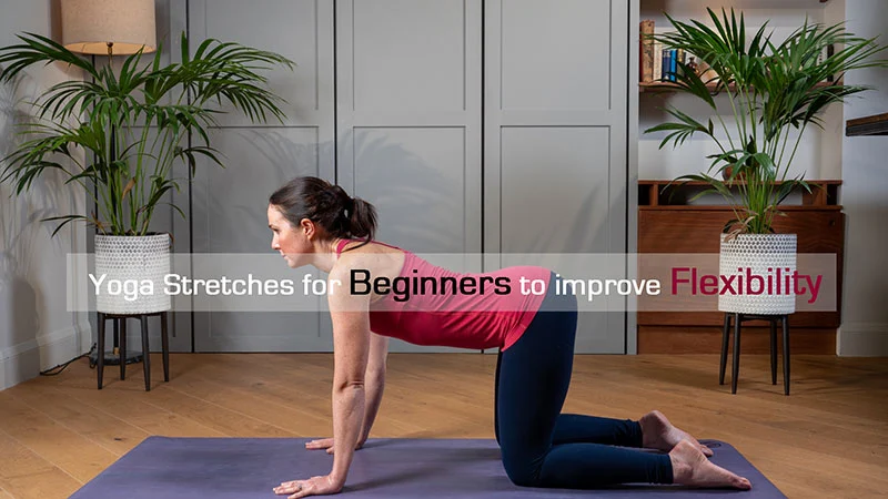 Yoga Stretches for Beginners to improve Flexibility