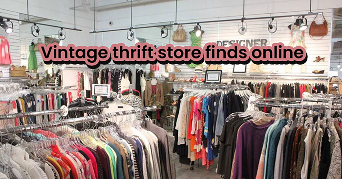 Vintage thrift store finds online