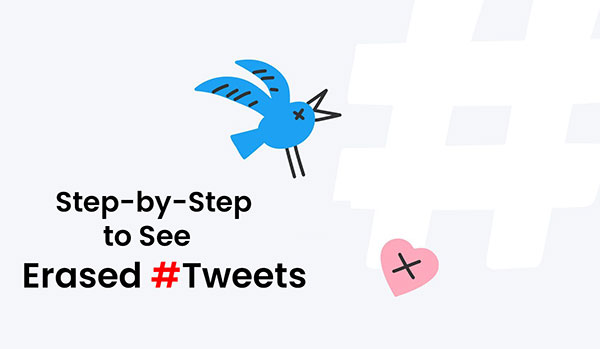 Step by Step to see erased Tweets